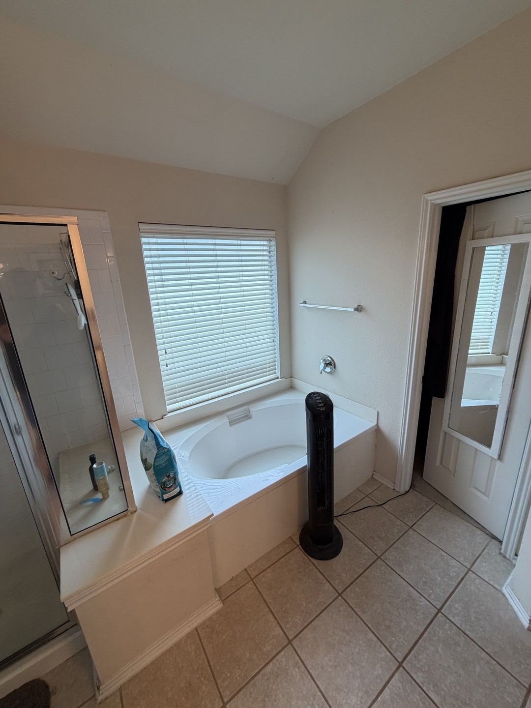 Before: the original tub and shower from another angle